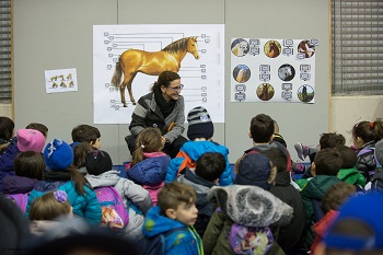 Cavalli a Roma 2017, le mille sfaccettature dell'equitazione nella Capitale 1 Cavalli a roma 2017 2451