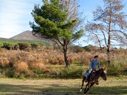 Cavallo Vesuvio