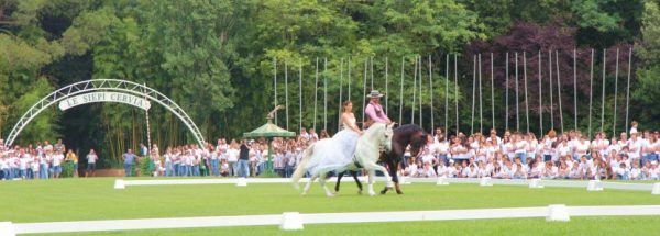 Cerimonia di apertura 2018 cervia pony