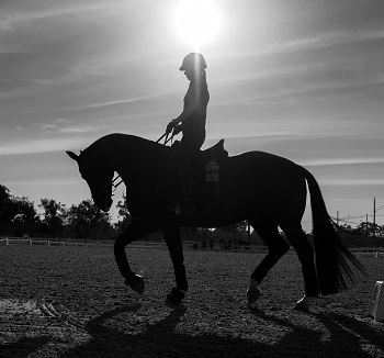 Charlotte Dujardin riding Valegro
