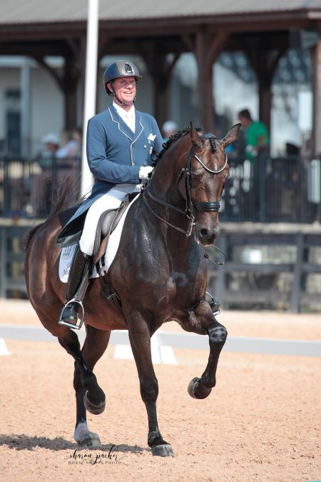 Tryon Summer Dressage 3&4: Chris Hickey and Stenagers Wyatt Earp Win FEI Grand Prix 1 Chris Hickey and Stenager Wyatt Earp ©Sharon Packer