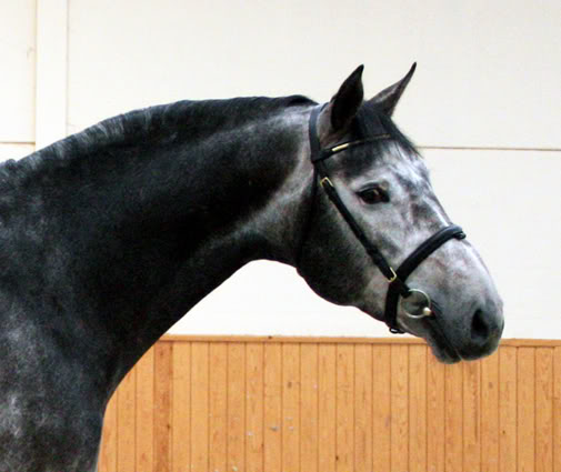 Cicerokop