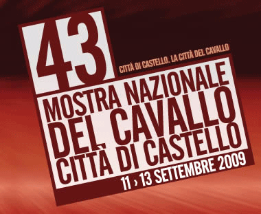 CittadiCastello 1