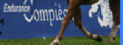 Compiegne2009 1
