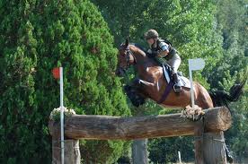 WEG 2010. Completo. Ecco la squadra 1 Completo 1
