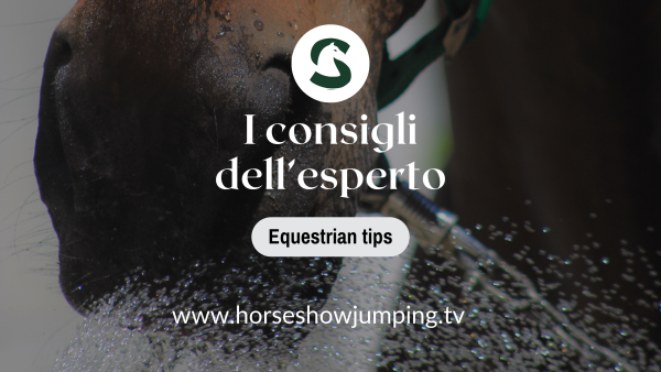 Gestione del cavallo con l'aumento delle temperature - Copertina video youtube - equestrian tips
