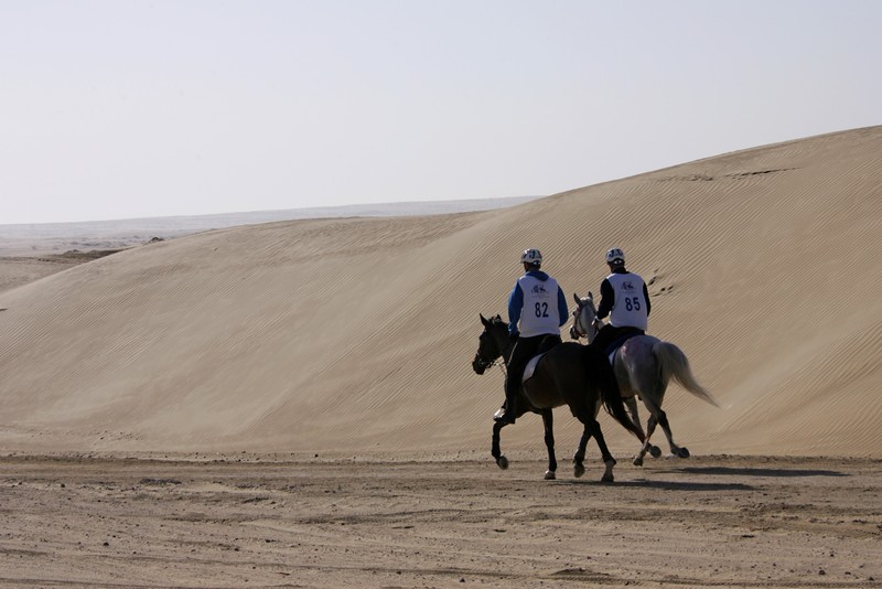 ENDURANCE 2011 – Due grandi gare al Village Al Wathba di Abu Dhabi negli Emirati Arabi 1 Copia di Dubai 1° 09foto 5