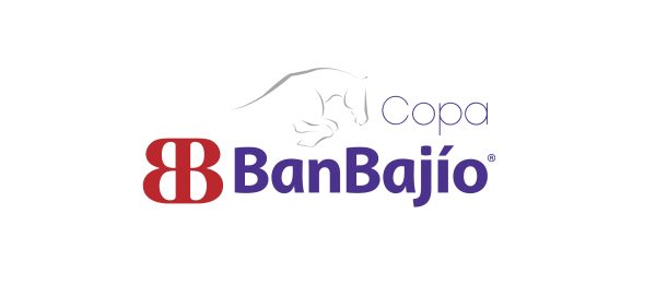 Copy of logo LEON