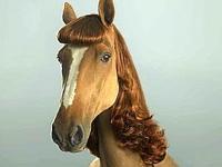 Beauty products for horses 1 Criniere 1