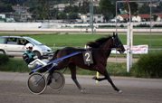 Criterium bellei