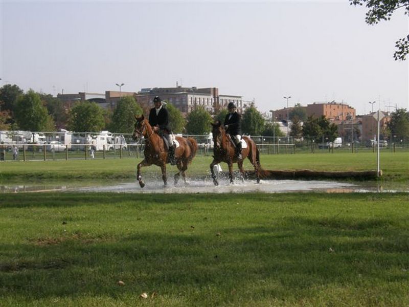 Cross-country della Società di Equitazione di campagna alla Volpe “Vespasiano Gonzaga” 1 Cross Varra 4 1