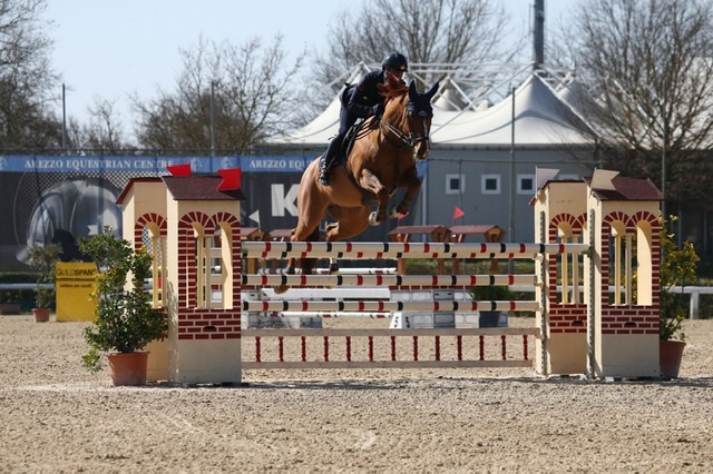 Emilio Bicocchi in vetta alla classifica della C140 e C135 del Nazionale A5* dell’Arezzo Equestrian Centre 1 D11DF7A9 5EF1 4DD4 96A0 41D83C0ABF78
