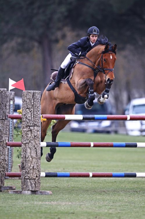 AREZZO EQUESTRIAN CENTRE: Aniello Di Paolo vince la Alta Young Riders di sabato 1 DI PAOLO ANIELLOpp