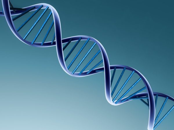 DNA