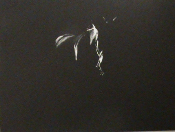 DSC01584