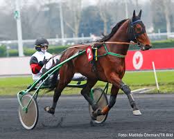 Grand Prix D'Amerique 2022. Le Roi est Davidson Du Pont 1 Davidson