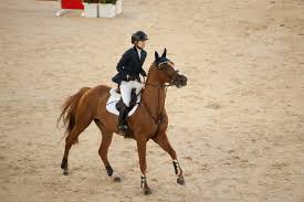 Stephex Masters 2015: Lucy Davis wins the Rolex GP with Barron. 1 Davis 1