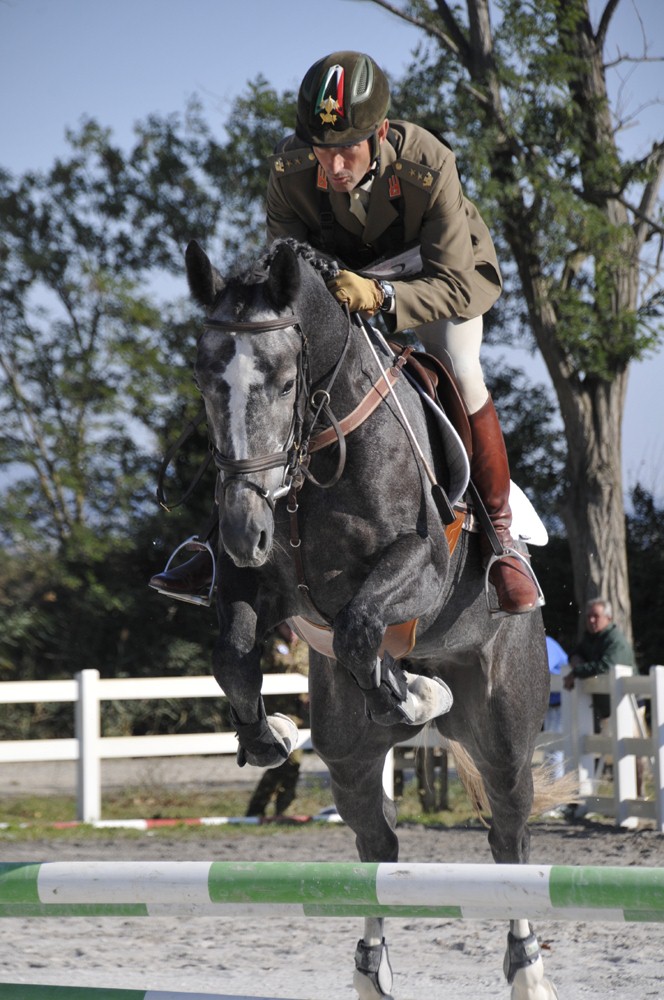 SUCCESSO PER IL COMPLETO DI EQUITAZIONE SVOLTOSI AL CE.MI.VET. DI GROSSETO IL 15 E 16 OTTOBRE 1 Della Chiesa salto ostacoli2 0