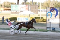 Derby trotto 2011 ARRIVO