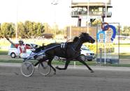 Derby trotto arrivo 2009