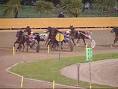 Derby trotto
