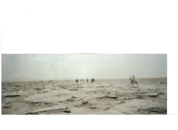 Deserto ver