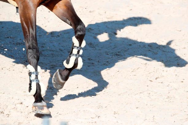 Longines Global Champions Tour and GCL 2020 1 Doha