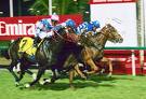 Dubai World Cup