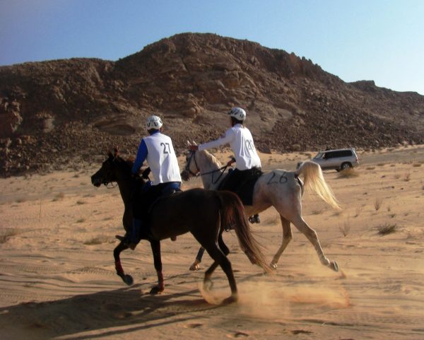 Dubai deserto