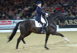 EQUITAZIONE DRESSAGE