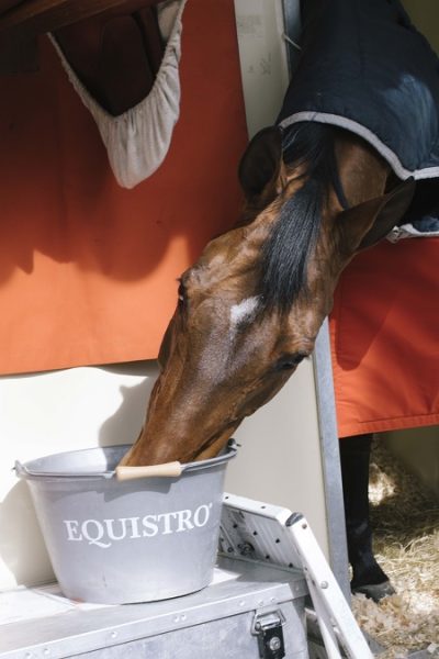 Ecuries Cheval credits Stephanie Moshammer