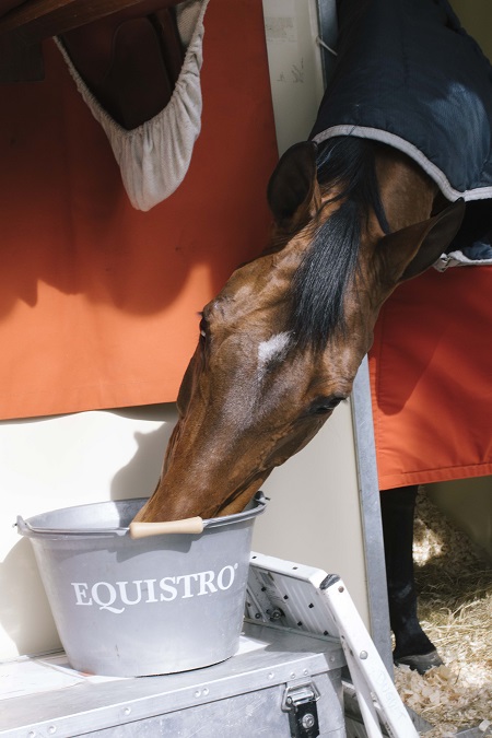 Ecuries Cheval credits Stephanie Moshammer