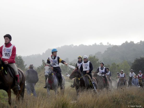 Endurance riding Uzes 2005 foto free by G. Neron Bancel