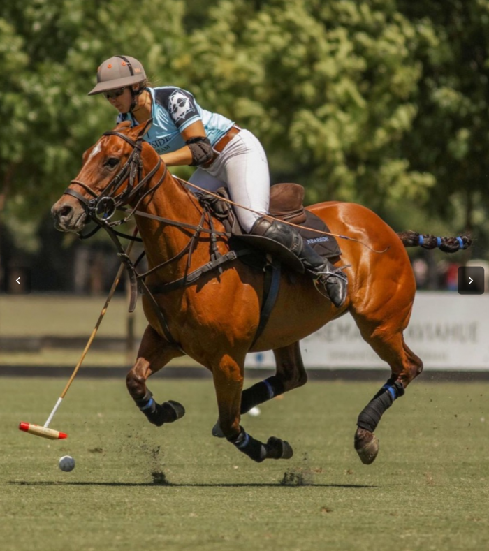 Europeo di polo femminile, dopo una giornata di riposo riprendono le competizioni 1 Equi Equipe Foto Fabio Petroni