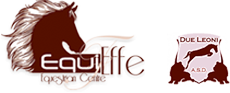 Equieffe logo 0