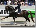 Eurodressage 0