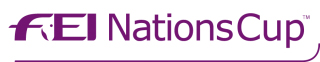 FEI NC logo