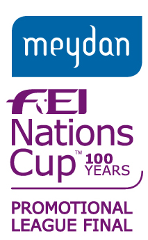 FEI LogoVertical Promotional