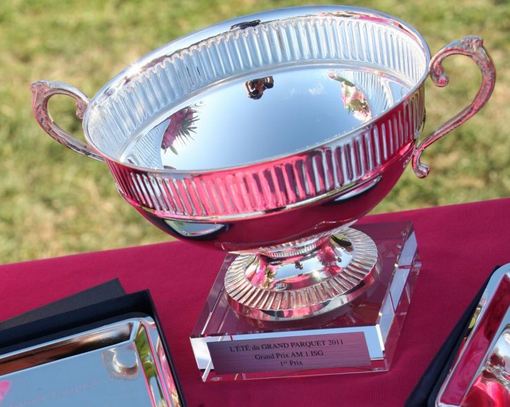 CSI4*/CSI2*/CSIAm/CSIYH1: a Fontainebleau ottima giornata per De Luca 1 FONTAINBLEU COPPA