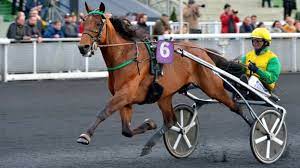 Vincennes. Nel Prix René Balliére sarà l'assolo di Face Time Bourbon? 1 FTB