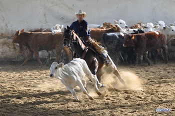 Fieracavalli 2017, Fitetrec tra il fascino spagnolo e l'adrenalina a stelle e strisce 1 Fase di Team Penning