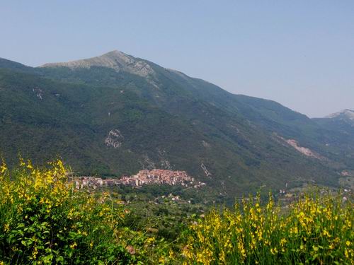 Felitto