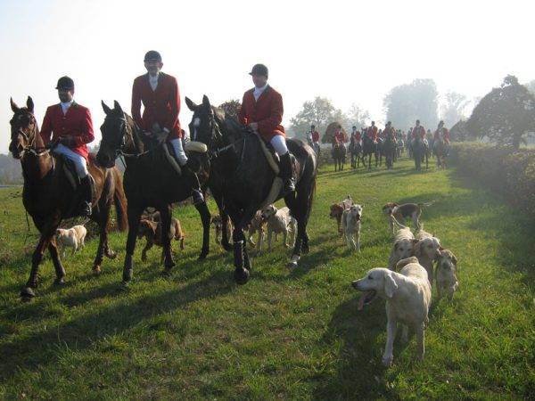 Field Montesolaro Nov. 011