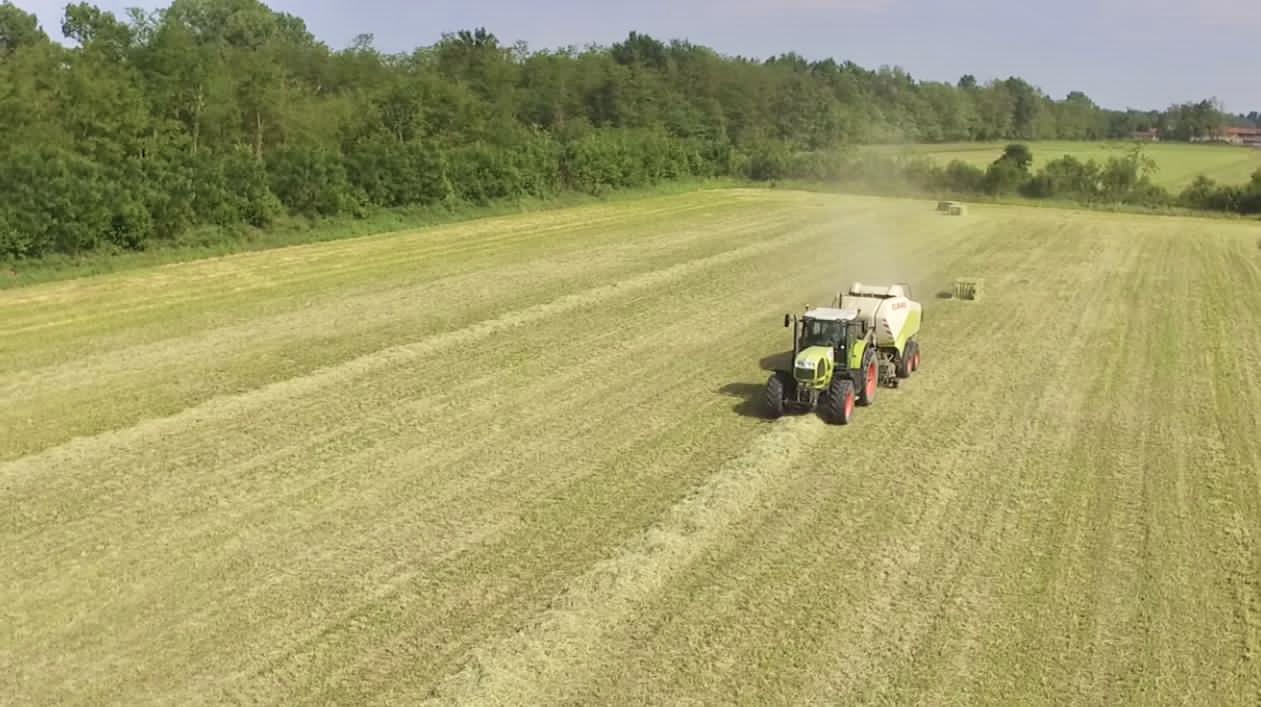 L'importanza di scegliere un buon fieno 1 Taglio del fieno in un campo