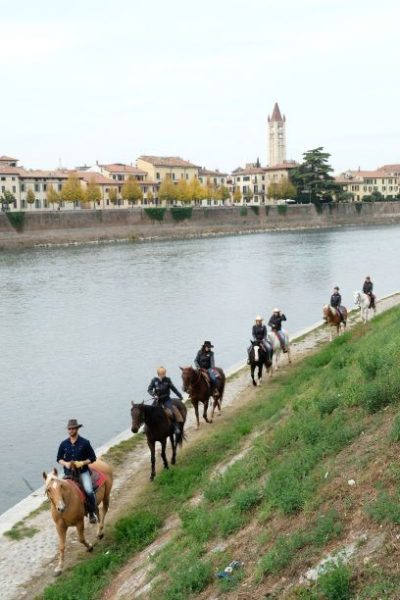 Fieracavalli2017 Veronafiere FotoEnnevi NV709540