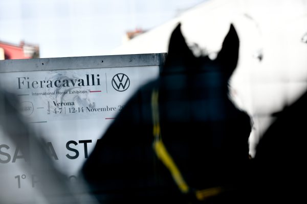 Fieracavalli2021 EnneviFoto Veronafiere 5