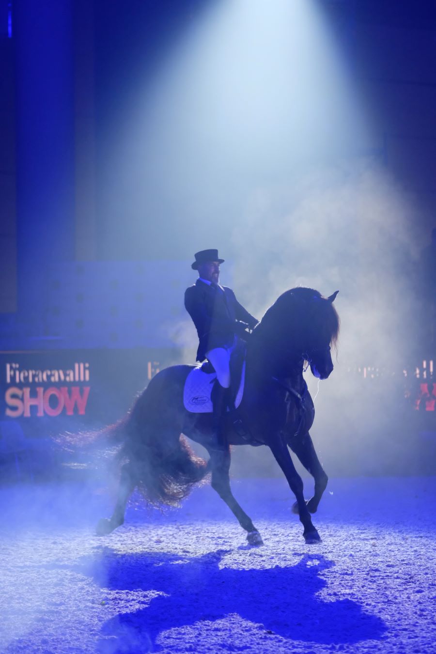 FIERACAVALLI, 100 MILA VISITATORI IN DUE WEEKEND 1 Fieracavalli2021 Ennevifoto Veronafiere 5314