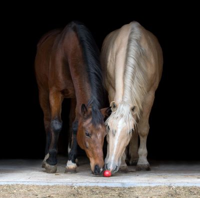 Foto iStock c AsyaPozniak