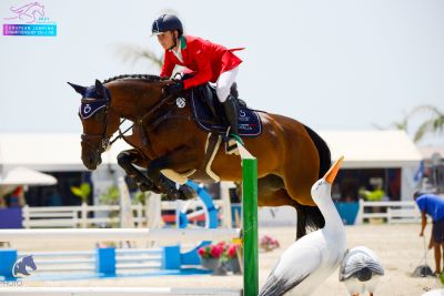 GIOVANNI 1 Vilamoura Equestrian centre