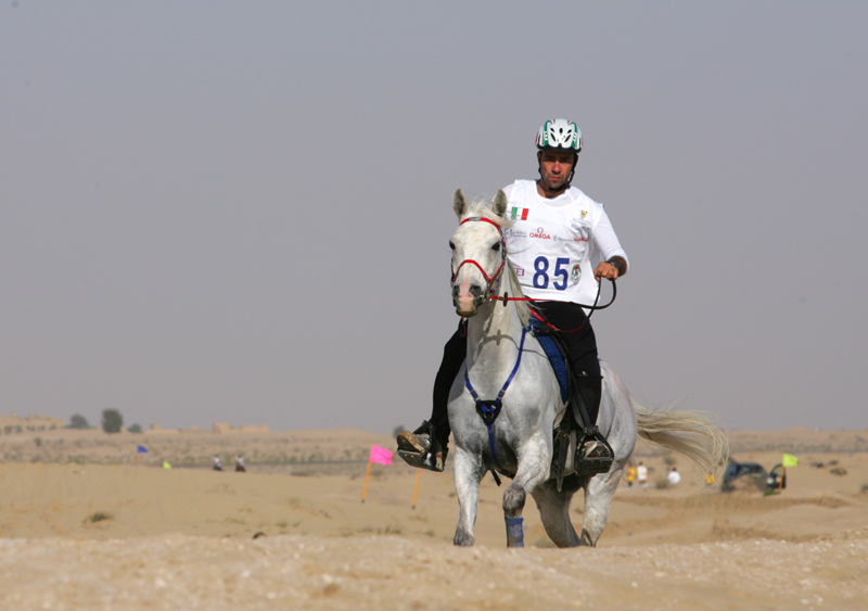 Endurance: La Shaikh Mohammed bin Rashid Al Maktoum Endurance Cup 2010 1 GL Laliscia foto 4